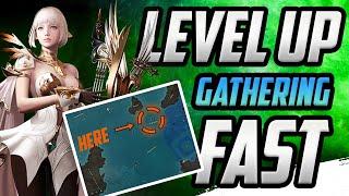 How to level up gathering skills FAST - Best location for gathering exp | Lost Ark Tips and Tricks