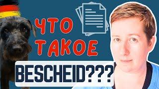 Что такое Bescheid и что не так с Джопцентром | Deutsch mit Marija по-русски