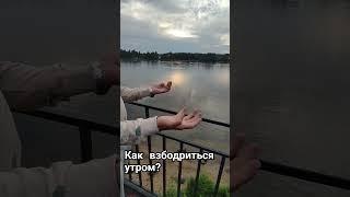 Как взбодриться утром? #лавказдоровья #упражнениедлябодрости