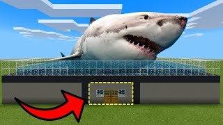 MCPE: How To Live Inside a Shark Farm