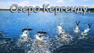 Ивано-Арахлейский парк. Озеро Кергенду, бакланы