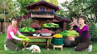 Harvesting Gourd Garden Goes To The Countryside Market Sell - Animals Care | Phuong Daily Harvesting