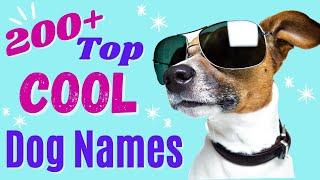 Top 200+ COOL Dog Names – Awesome Dog Name Ideas