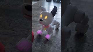 The Robot Dog for Kids who Can't Have a Real Pet