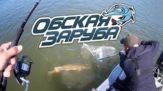 Обская заруба 2018 - Итоговый фильм | Рыбалка с FishingSib