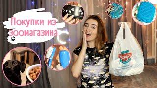 ПОКУПКИ ИЗ ЗООМАГАЗИНА БЕТХОВЕН! \ ПОКУПКИ ДЛЯ ПИТОМЦЕВ! \ МОИ ЗООПОКУПКИ! ИГРУШКИ ДЛЯ СОБАКИ!