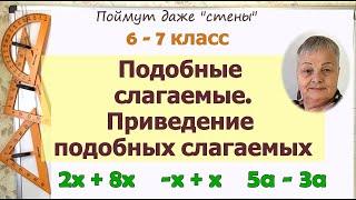 Подобные слагаемые. Приведение подобных слагаемых 6 - 7 класс