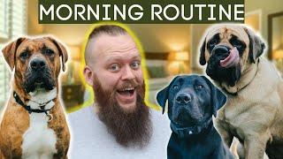 Morning Dog Training Routine To Do Everyday