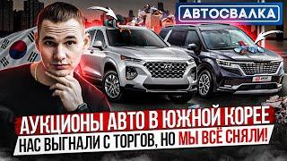 КАК ПРОХОДЯТ АУКЦИОНЫ АВТОМОБИЛЕЙ В ЮЖНОЙ КОРЕЕ / ПОКАЗЫВАЕМ ПРОЦЕСС ИЗНУТРИ / KIA, Hyundai Santa Fe