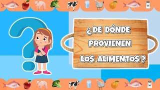 ¿DE DÓNDE PROVIENEN LOS ALIMENTOS?    - Saber comer para sentirme bien  