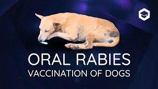 Oral Rabies Vaccination of Dogs - A practical guide