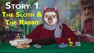 Story 1: The Sloth and the Rabbit