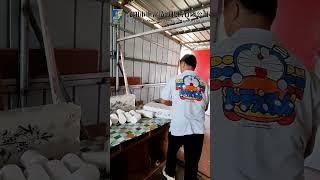 Toilet tissue paper machine  #smalltoiletpapermakingmachine #tissuemachine #toiletpapermachine