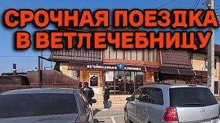 821ч Жизнь семьи на юге/Рецепты приготовления теста/Обзор чем мы занимаемся после переезда на Кубань