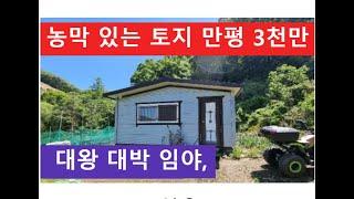 농막 있는 토지 만평 3천만 (대왕 대박 임야)