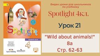 Spotlight 4 кл. (Спотлайт 4кл.)/ Урок 21 "Wild about Animals!" 8a стр. 62-63