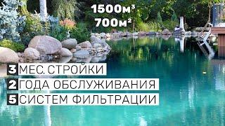 ЭТО ПРУД ЗА 40 000 000 ₽. Как построить оазис на участке? 100+ карпов Кои, идеальная вода