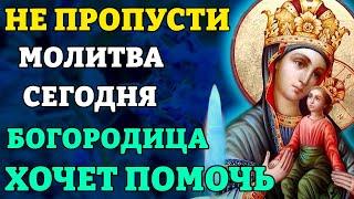 Сегодня НЕ ПРОПУСТИ! БОГОРОДИЦА ХОЧЕТ ПОМОЧЬ! Молитва Богородице Споручница Грешных. Православие