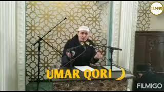 Umar qori baxt nima Умар кори бахт нима