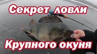 Секрет Ловли Крупного Окуня. СУПЕР РЫБАЛКА!!! Ловля окуня на балансир. Ловля окуня зимой