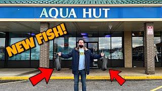 FISH STORE TOUR! NEW DISCUS FISH!