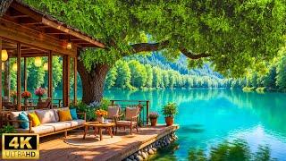 Escape into Peace - Forest Lake Ambience & Piano on a Summer Porch | Music for Meditation & Focus
