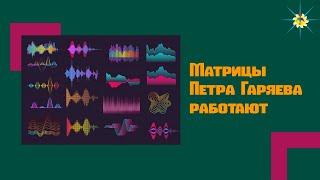 Матрицы Гаряева не лохотрон! Остерегайтесь подделок! Антон Артмид