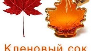 Как добыть кленовый сок(как собрать кленовый сироп)/How to get maple juice