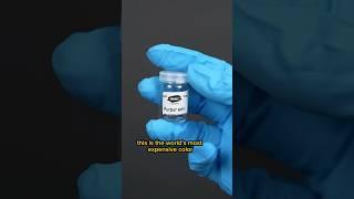 The World’s Most EXPENSIVE Color.  #arthistory #science #art #paint #painting #history #facts