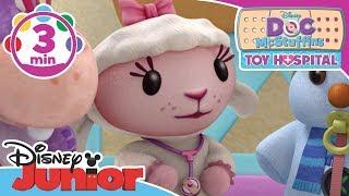 Doc McStuffins | We Are Baby Toys Song | Disney Junior UK