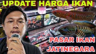 UPDATE HARGA IKAN DI PASAR IKAN HIAS JATINEGARA‼️