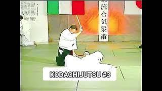 Daito-ryu Aikibudo: kodachijutsu 03