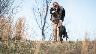 Problem Solving Your Retriever Training