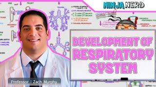 Embryology | Development of the Respiratory System