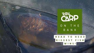 HEAD TO HEAD...BIGGEST FISH WINS! HUGE carp caught from Linear Fisheries!