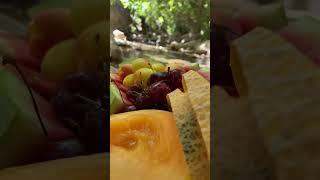 Fresh Fruits in the Heart of Kohgiluyeh and Boyer-Ahmad Nature! @cookinginnature.official
