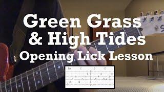 Outlaws - Green Grass & High Tides - Guitar Lesson - Intro (Correct)