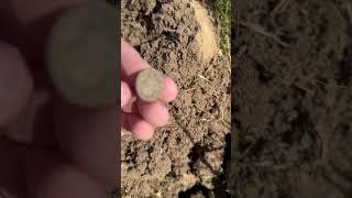 Digging civil war relics. Cool button. American civil war. Metal detecting.