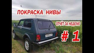 Покраска Нивы. Отчёт за неделю.