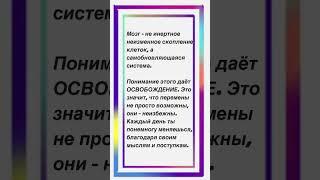 #Бизнесконсультант #Бизнес #мышление #стратегия #школабизнеса #малыйбизнес #бизнессекреты