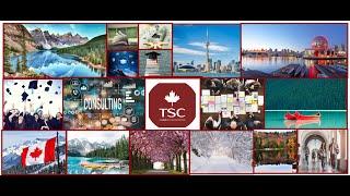 How TSC Immigration Can Help You Move to Canada Faster