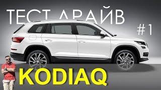 Как там, на третьем ряду в Шкода Кодиак / Skoda Kodiaq - тест-драйв Александра Михельсона _ Часть 1