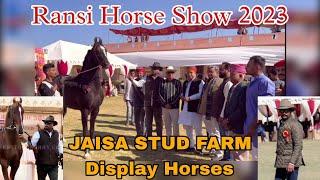 Ransi Horse Show 2023 || Jaisa Stud Farm Horses for Display || Owner Sawai Singh Ji RANSIGAON