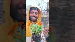 gamla kharid liya || #myvlog #usman #vlog