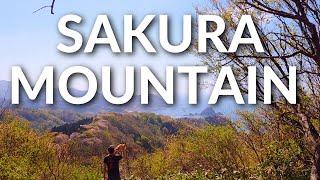 Japan’s Cherry Blossom Mountain