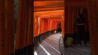 Visiting Japan's most famous Shrine, Fushimi Inari️