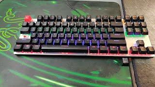 26 Dollar - METOO ZERO Mechanical Keyboard Review | Best Cheap Mech!