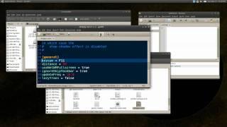 Skippy-xd -- Expose Effect - Ubuntu 10.10
