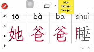 How to write 她爸爸睡 in Chinese