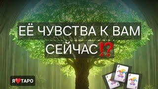 Её чувства к вам сейчас⁉️ Расклад таро для мужчин| Гадание онлайн